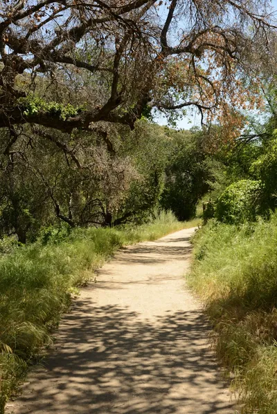 DSC_1647 (Large).JPG